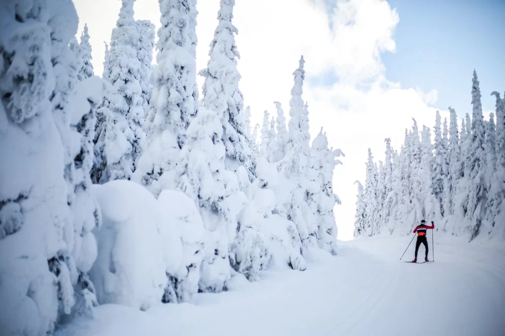 cross country skiing bc