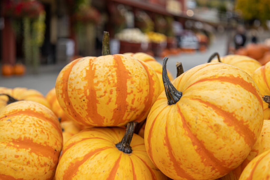 fall harvest okanagan