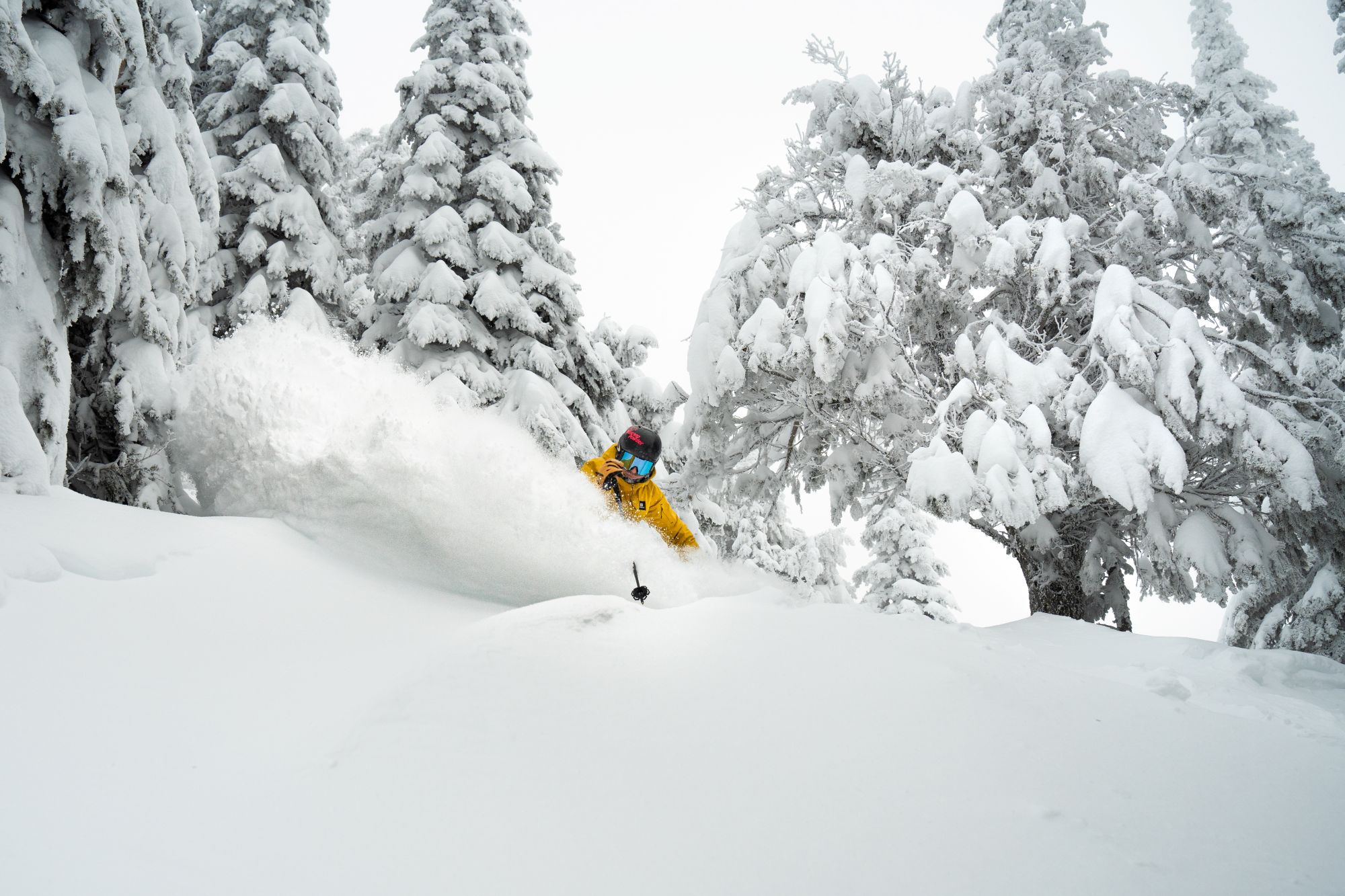 person skiing through deep powder in a forest