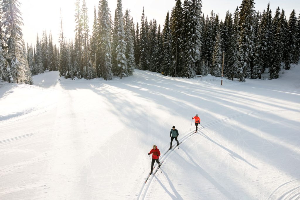 three people in a line on classic cross-country skis with forest behind